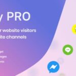 Chaty Pro 3.4.9 – WordPress Chat Plugin