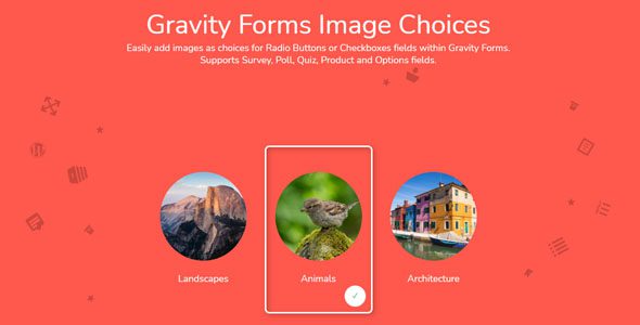 Gravity Forms Image Choices 1.6.11