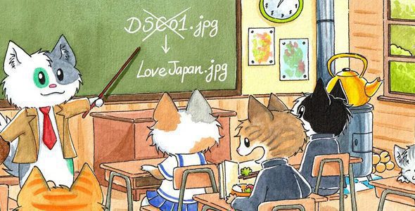 Media File Renamer Pro 6.2.0